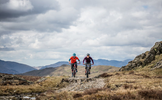 The 7 Wonders of Merino