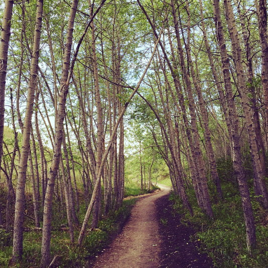 FINDRA's Weekly Inspiration: Adventure is Only a State of Mind