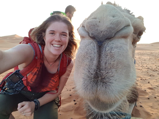My Journey Into Adventure