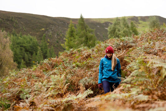 4 Fantastic Autumn Activities