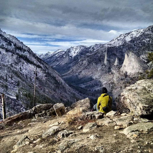 Friend of FINDRA: Laurie Chipps