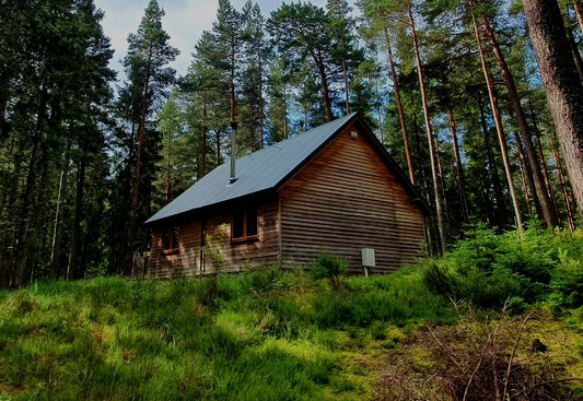 Adventure Staycations
