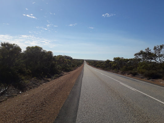 Active recovery: cycling through depression.