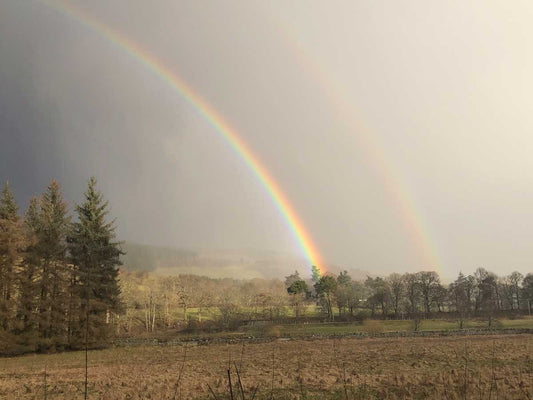 Inspiration: Everyday Adventures