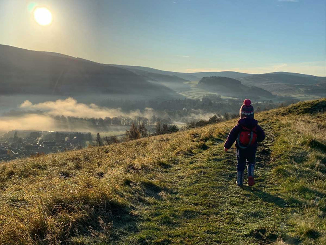 Inspiration: Stewart Wilson