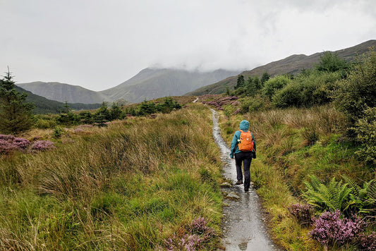 Friend of FINDRA: Sharon Western