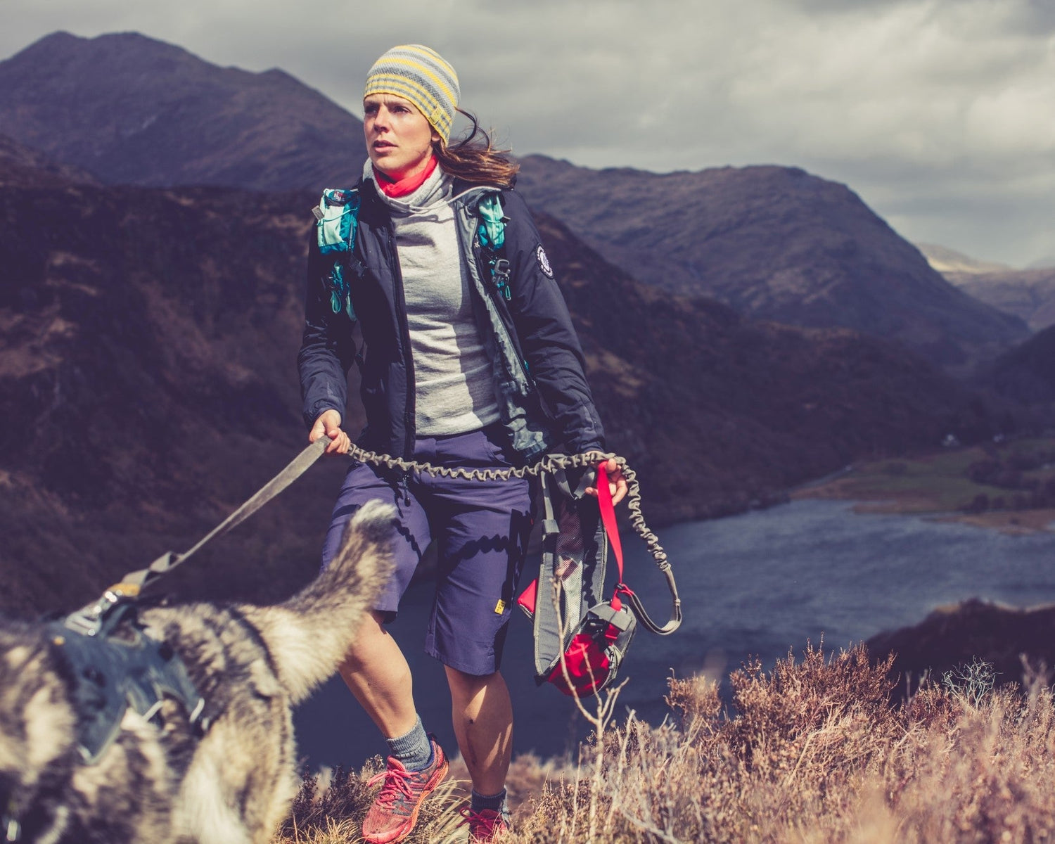 Gifts for Dog Walkers