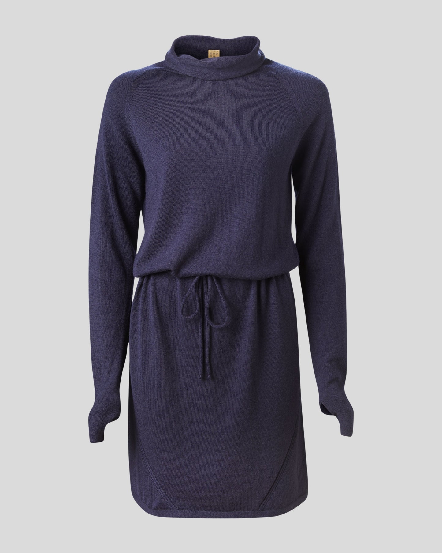 Innis Merino Cowl Neck Dress