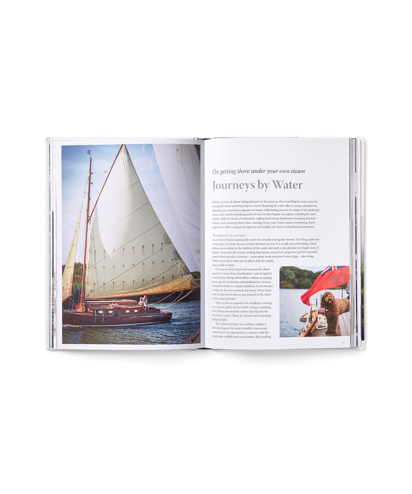 The Slow Traveller by Jo Tinsley