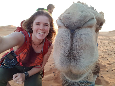 My Journey Into Adventure