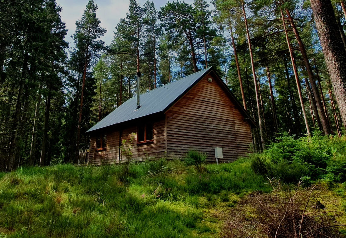 Adventure Staycations