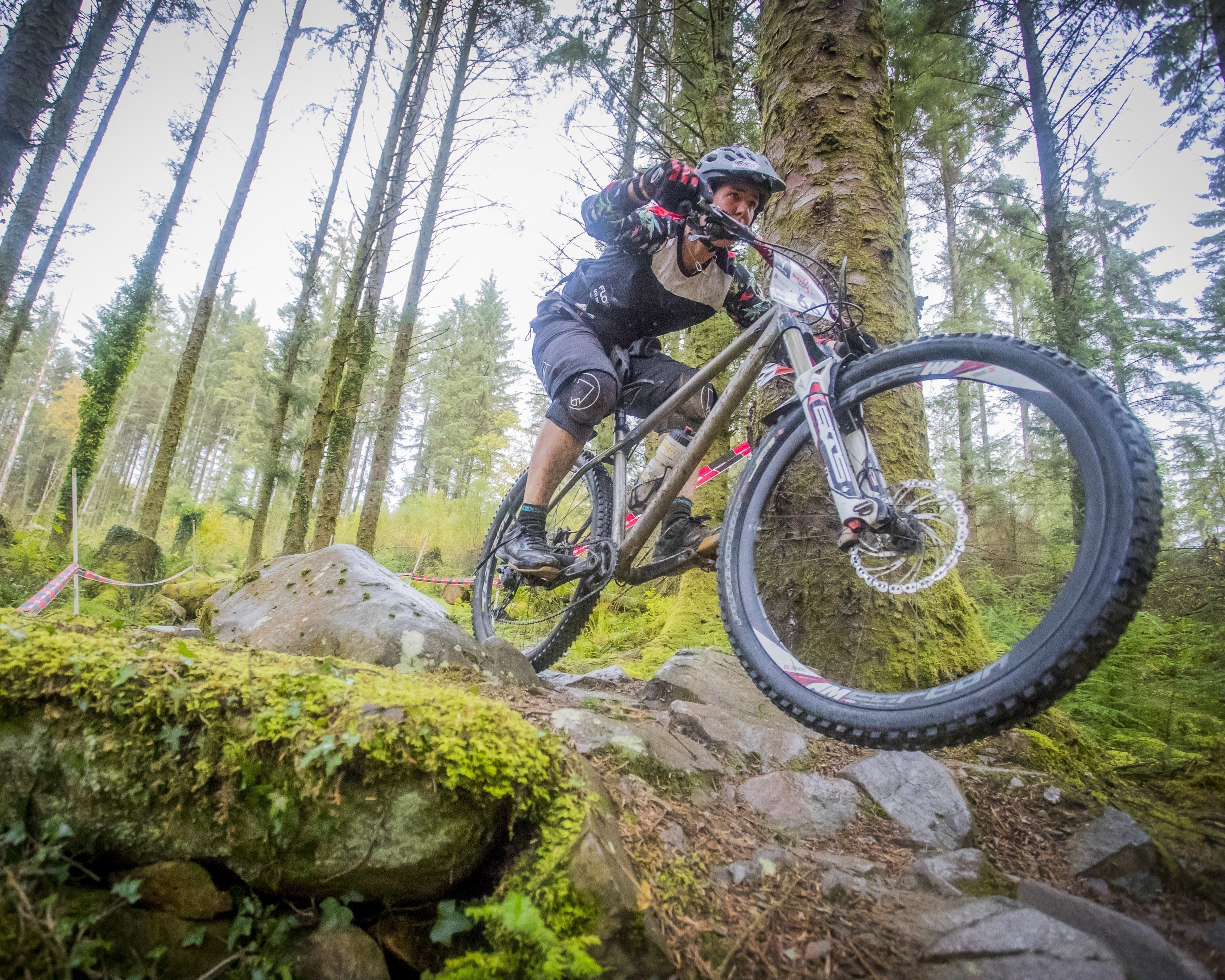 Finding My Mojo Again | Heather Friendship-Kay & FINDRA