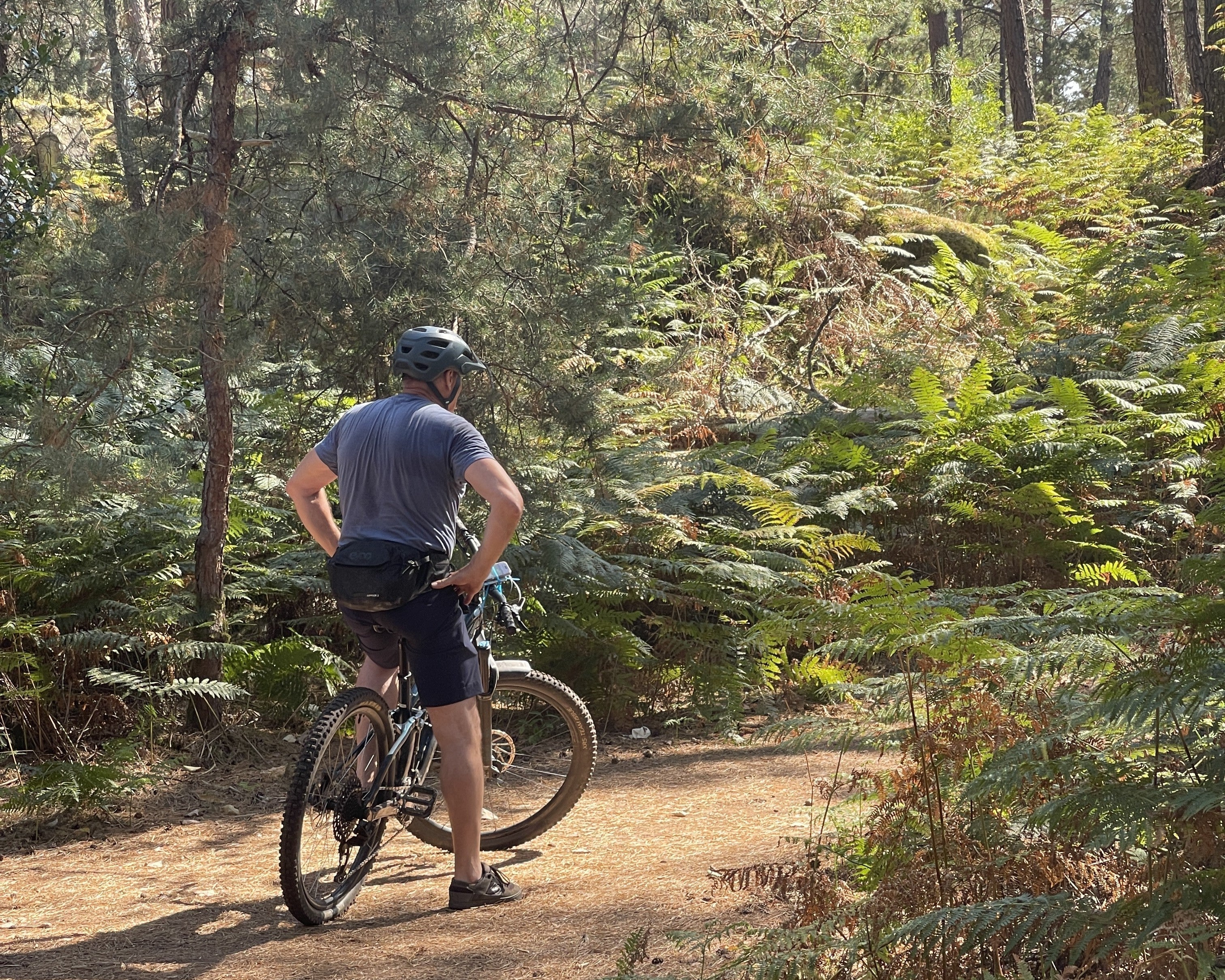 The One-Hour Ride That Took Four
