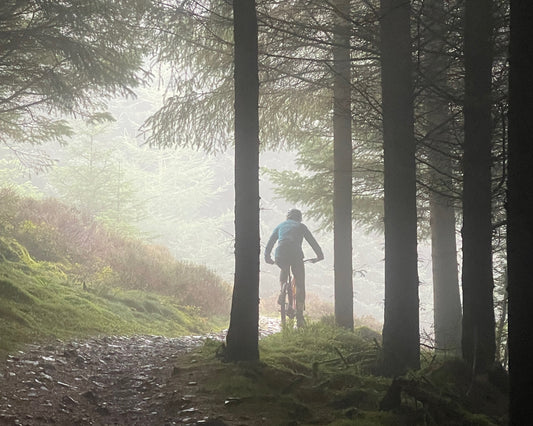 A Season of New Beginnings