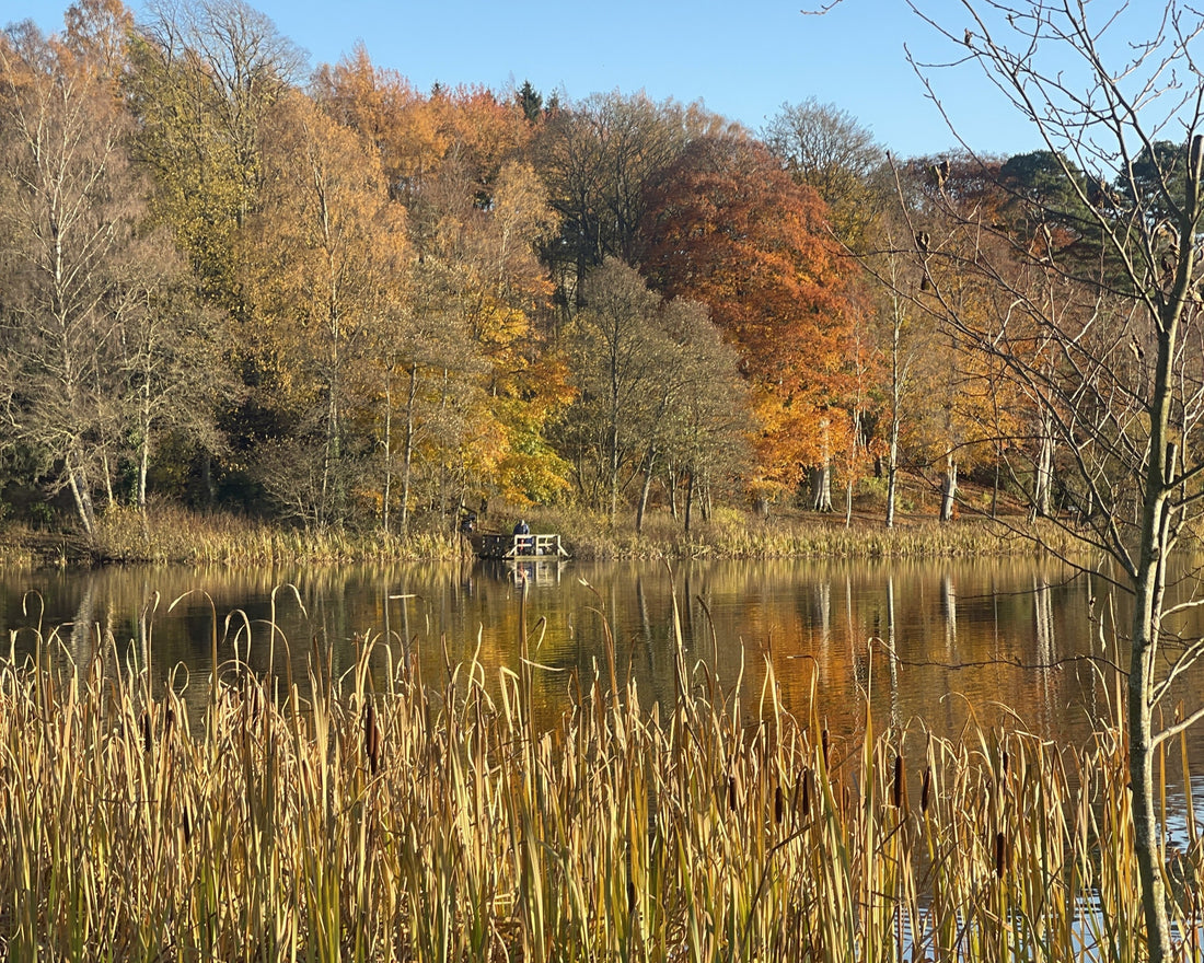 Inspired by Autumn: Colour, Texture and Creative Heritage in the Scottish Borders
