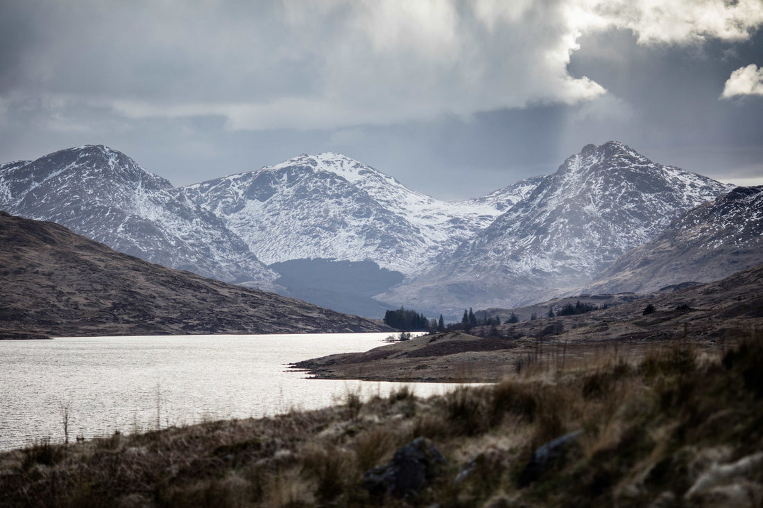 Finding Joy in January!