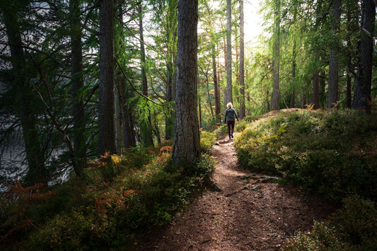 In Nature’s Care: Reflections on Wellness from the FINDRA Community