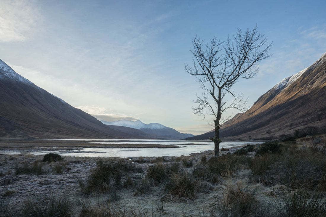 January: Rest, Reset, and Realign with Your Natural Rhythm