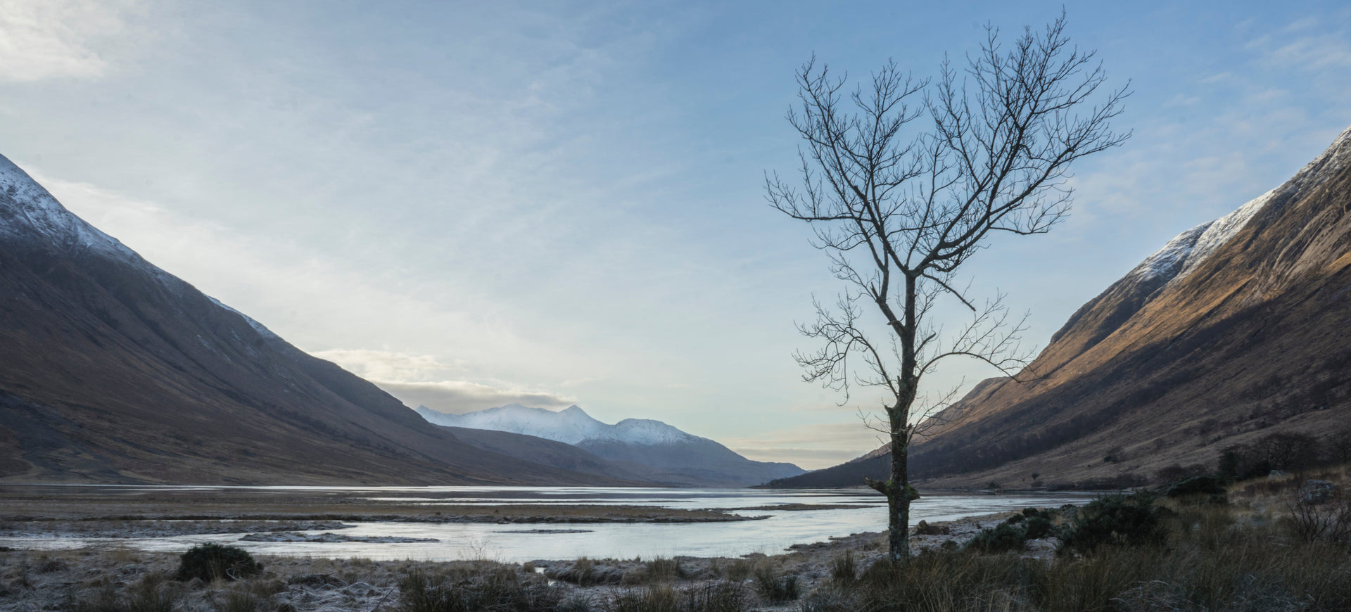 Scenic landscape with a lake, mountains, and a bare tree in the foreground.