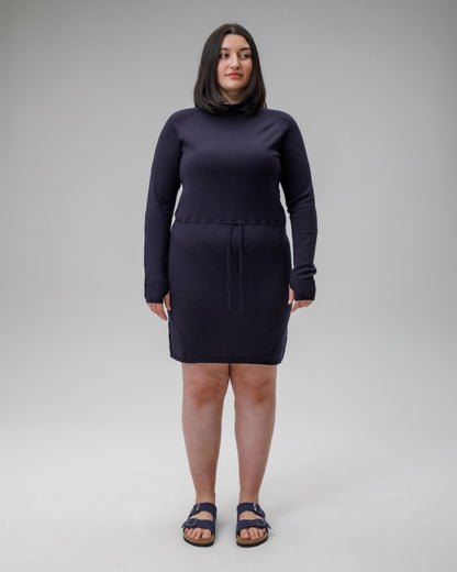 Innis Merino Cowl Neck Dress