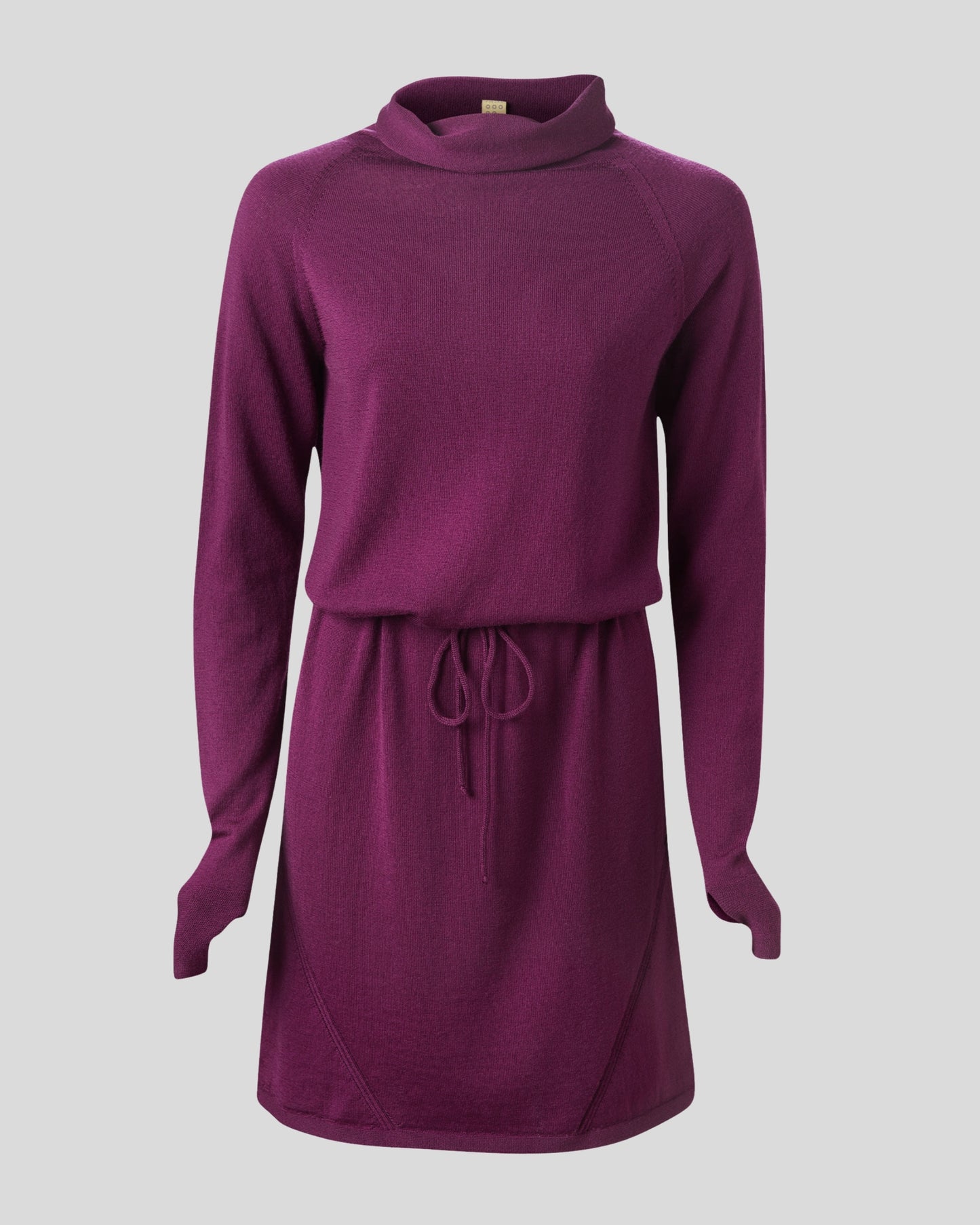 Innis Merino Cowl Neck Dress