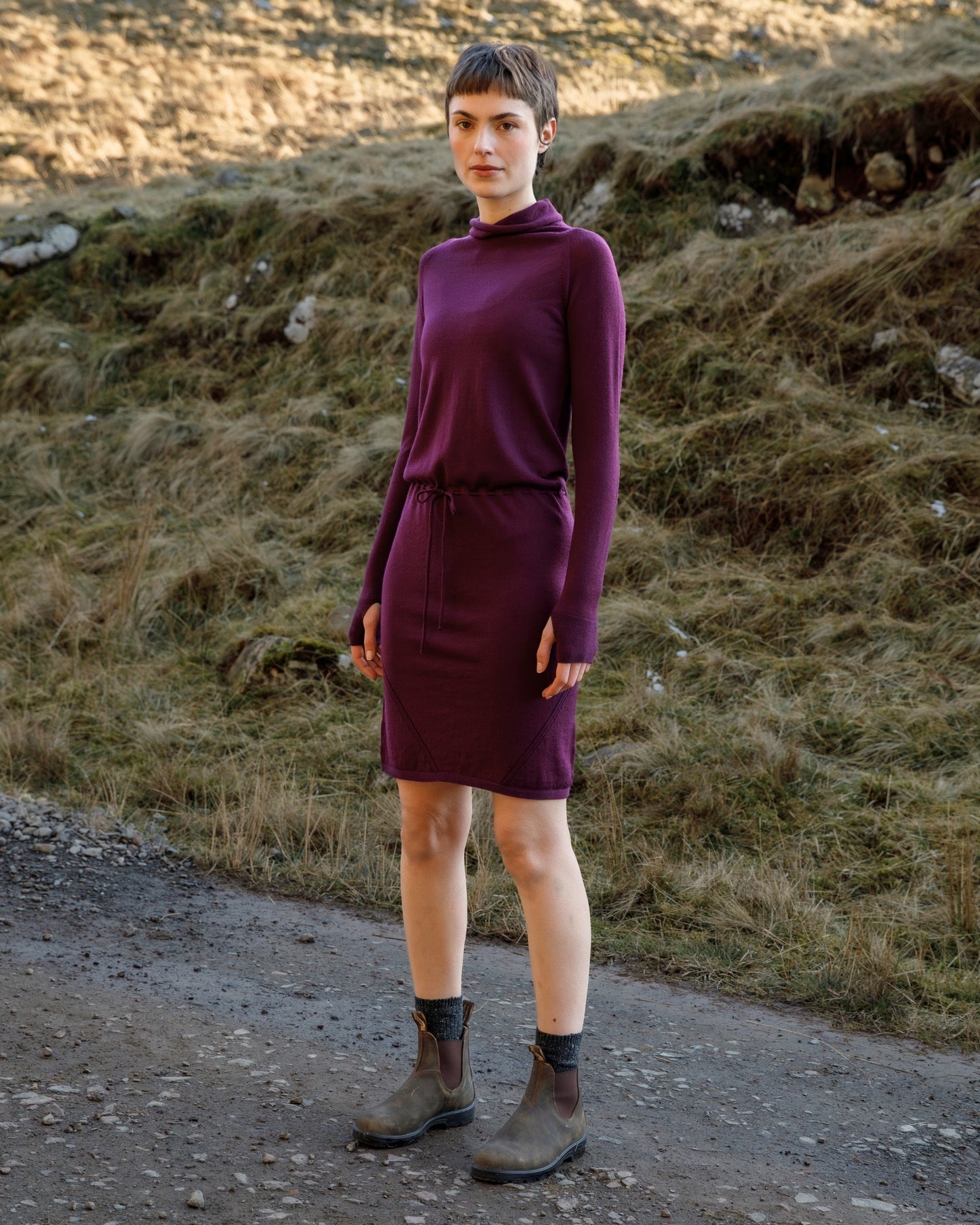 Innis Merino Cowl Neck Dress