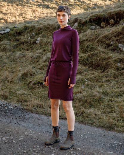 Innis Merino Cowl Neck Dress