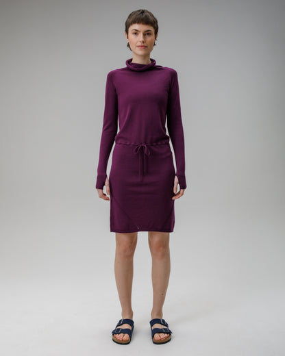 Innis Merino Cowl Neck Dress