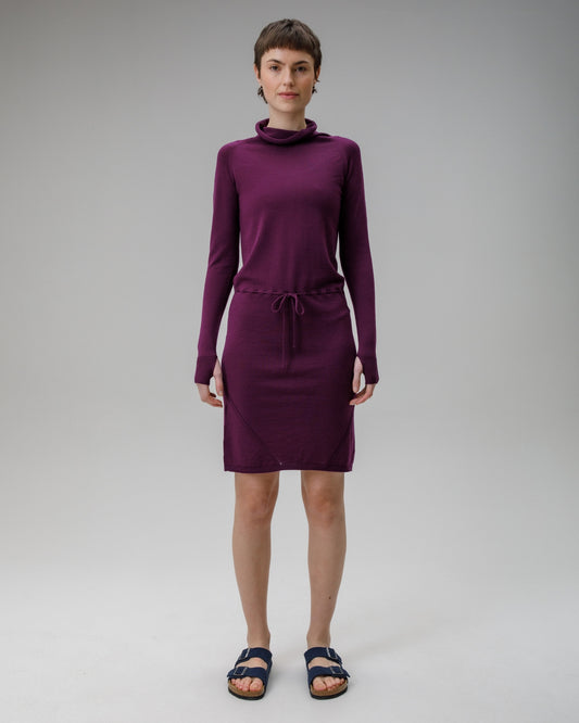 Innis Merino Cowl Neck Dress