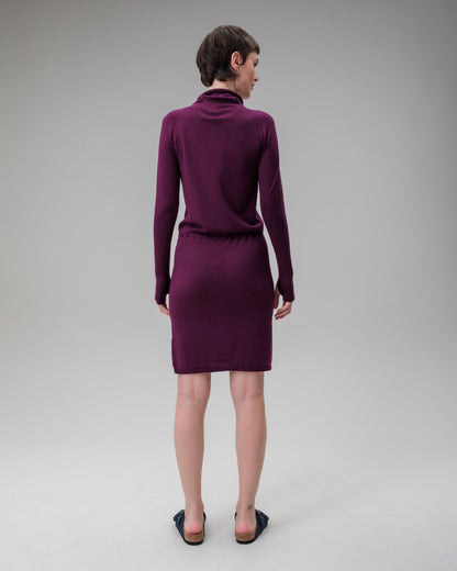 Innis Merino Cowl Neck Dress