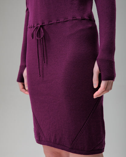 Innis Merino Cowl Neck Dress