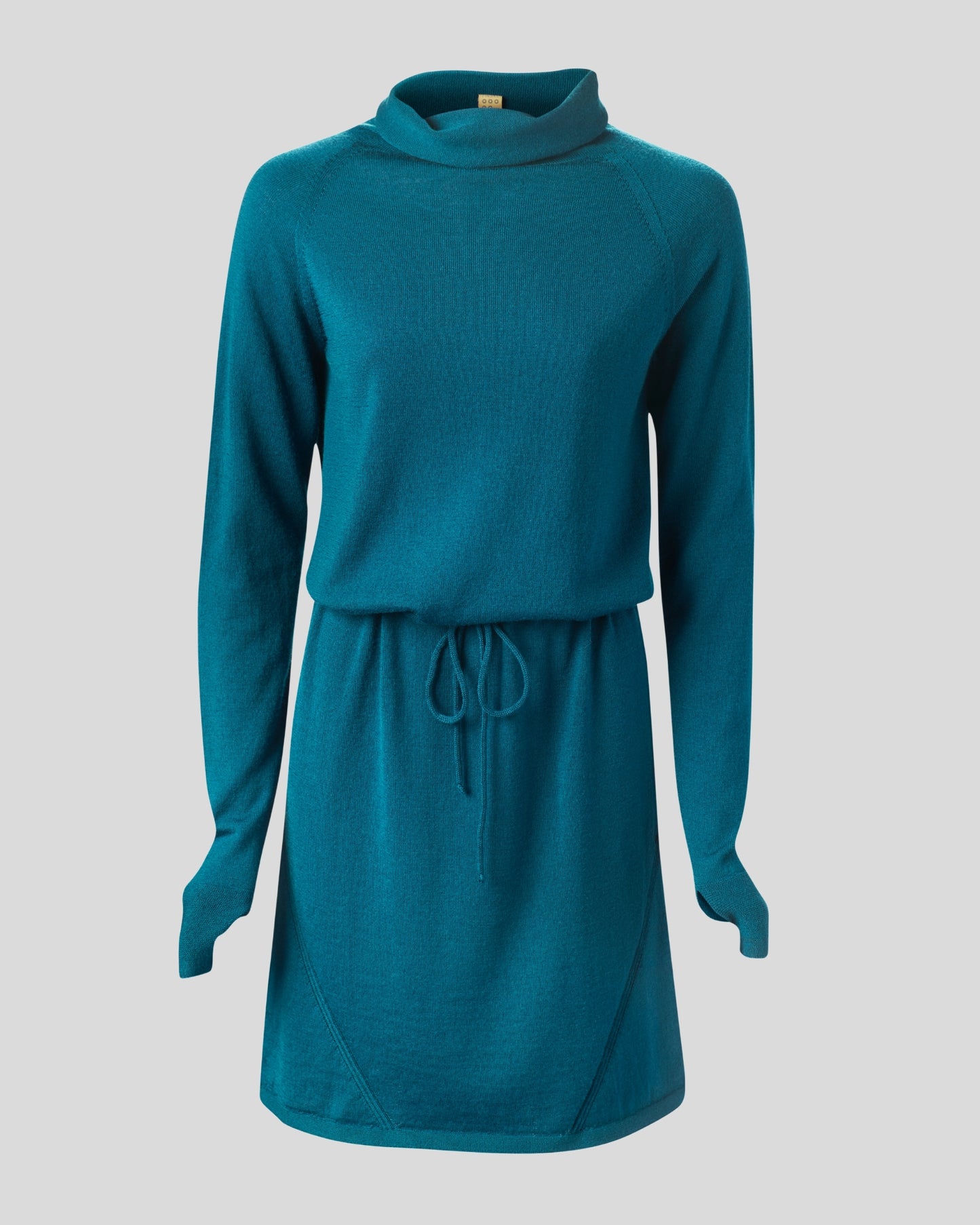 Innis Merino Cowl Neck Dress